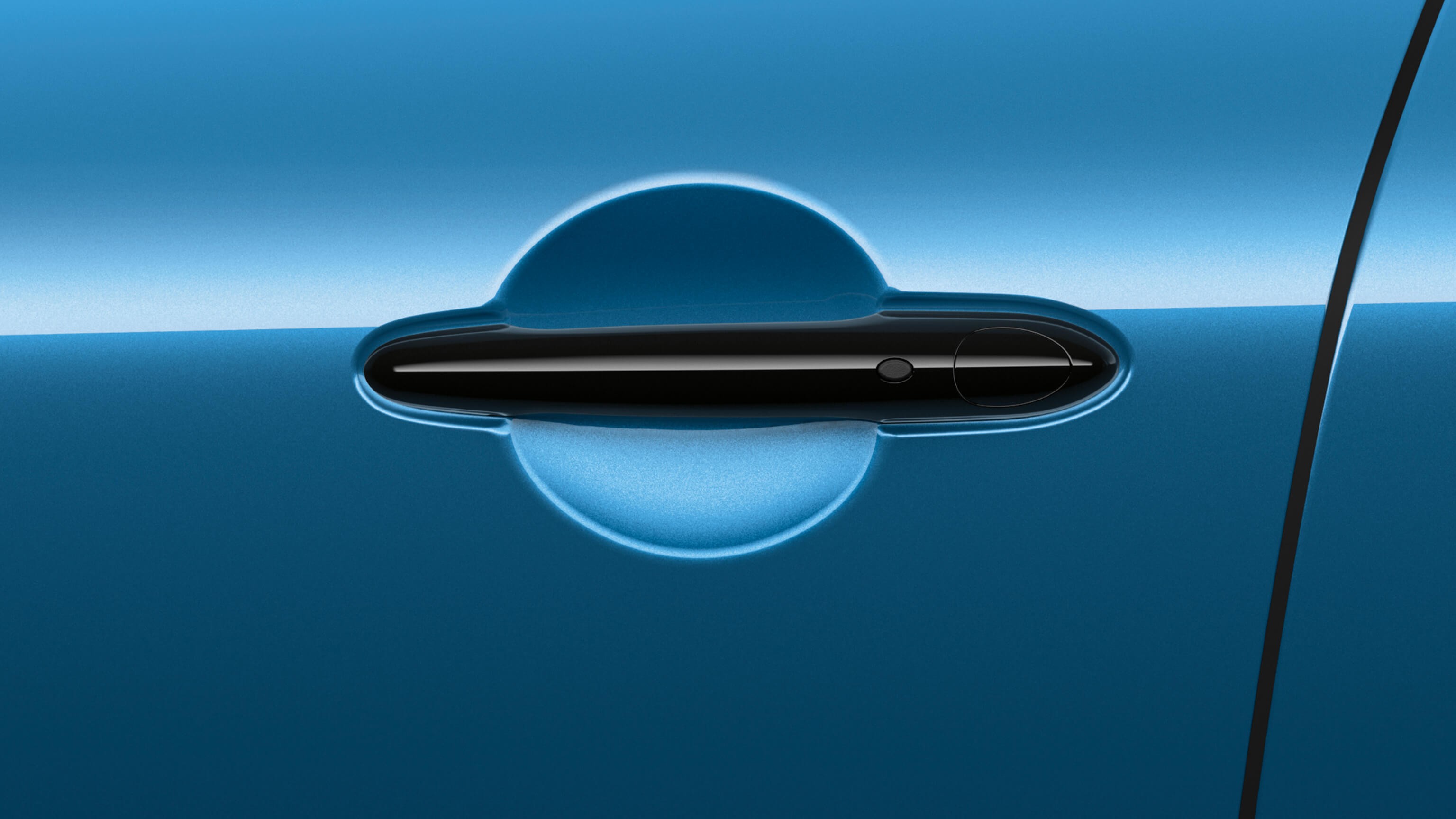 Piano Black Door Handles